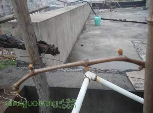 IMG_20150326_073115.jpg