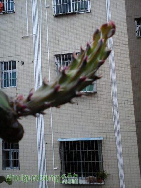 ѿ02-24E.JPG
