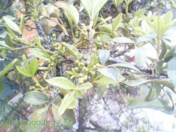 20150329֦.jpg