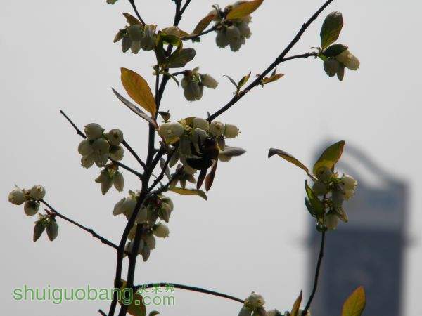 DSCN3942.JPG