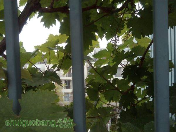 IMG_20150329_131014.jpg