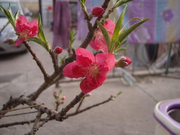 S1032347.JPG