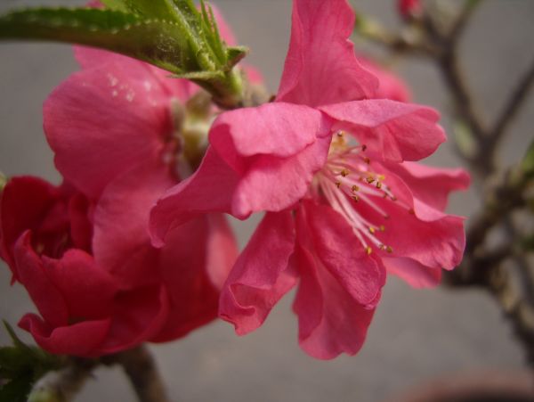 S1032348.JPG