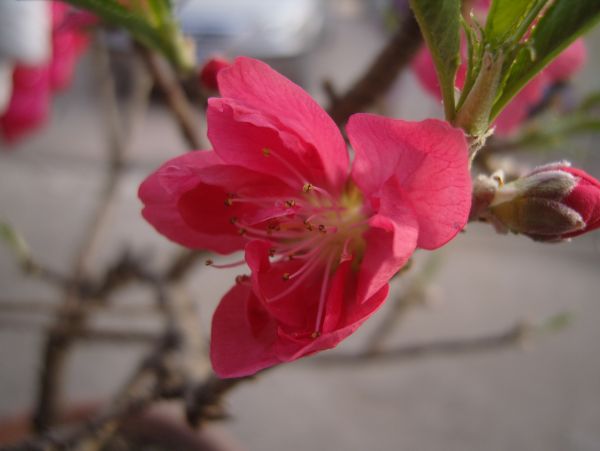 S1032350.JPG