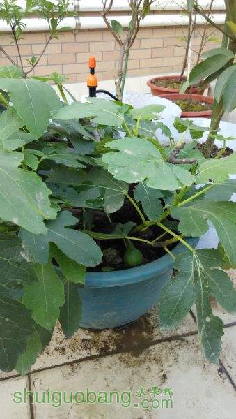 IMG_20150330_171027.jpg