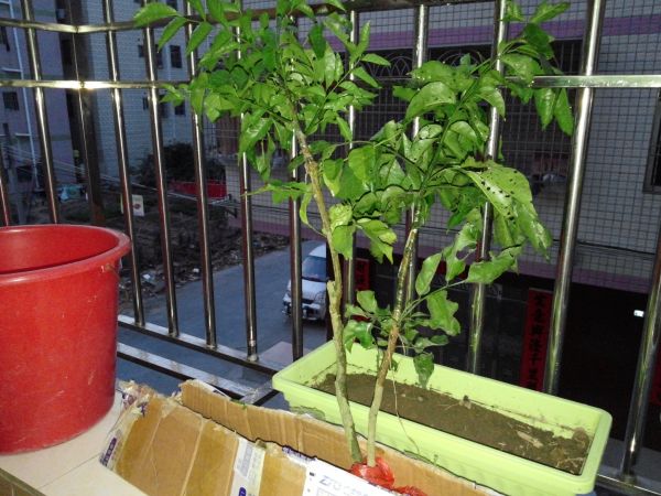 20150327_184548.jpg