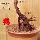 201311iwpkim8wi2jhmwbm.jpg