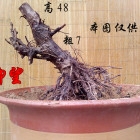 201311mlnzi7v2inqpidvl.jpg