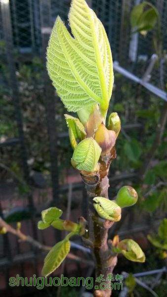 20150331_065831.jpg
