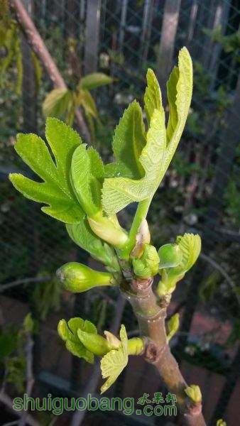 20150331_070147.jpg