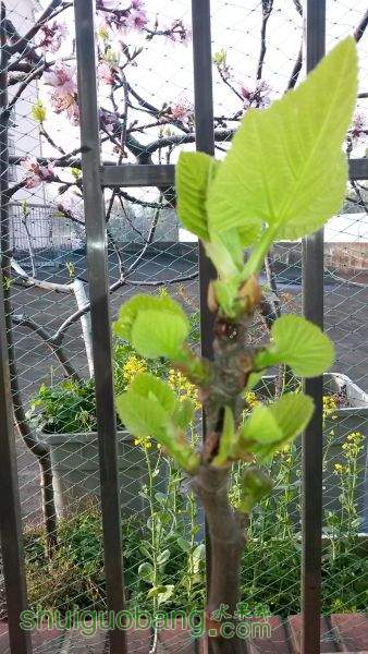 20150331_070704.jpg
