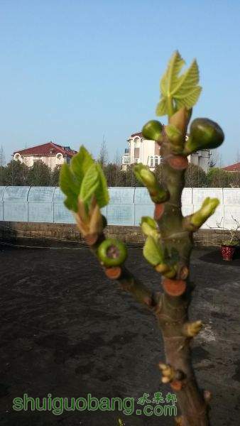 20150331_073752.jpg