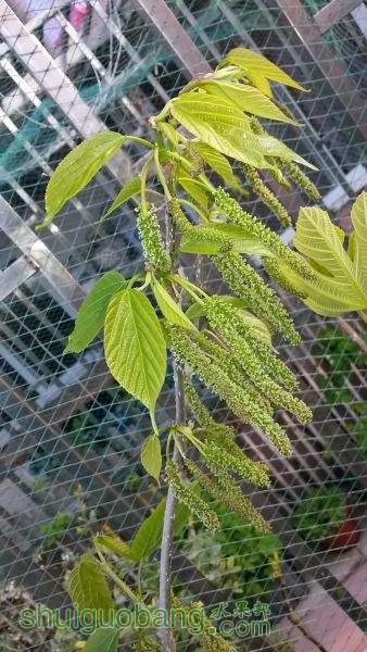 20150331_065155.jpg
