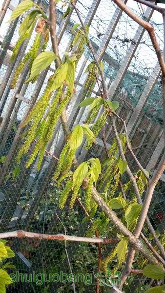 20150331_065354.jpg