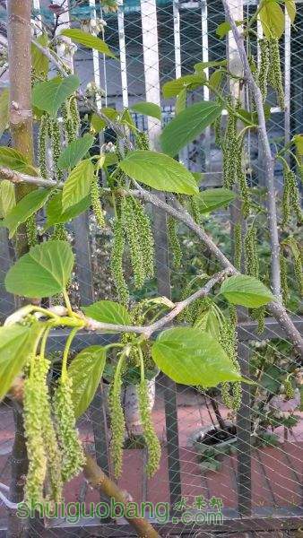 20150331_070106.jpg