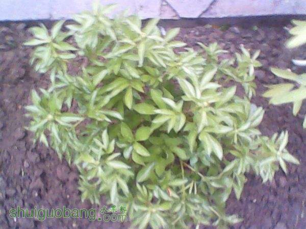 ҩ20150401.jpg
