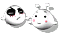 QQͼƬ20150324105228.gif