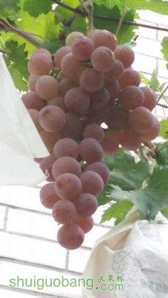 QQͼƬ20150402133651.jpg