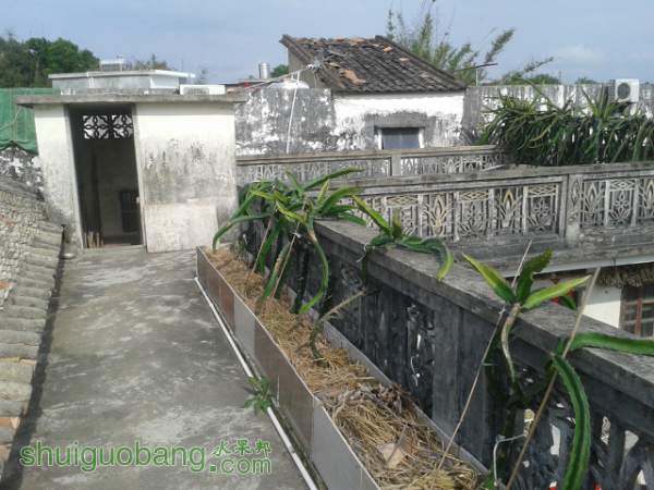 210507mfjrjby47ty78vi1.jpg