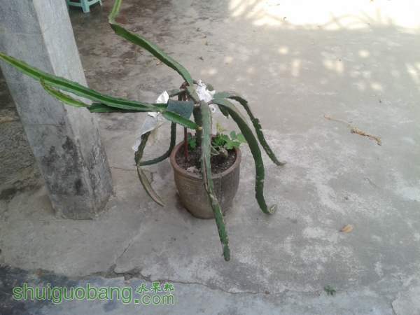 210512fu0lsakkjna5klka.jpg