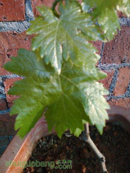 IMG_20150402_065633.jpg