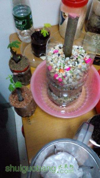 QQͼƬ201111111.jpg