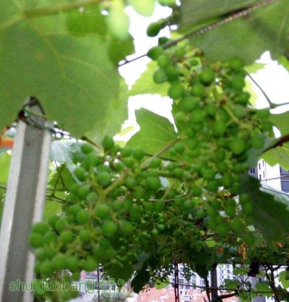 QQͼƬ20150403112923.jpg