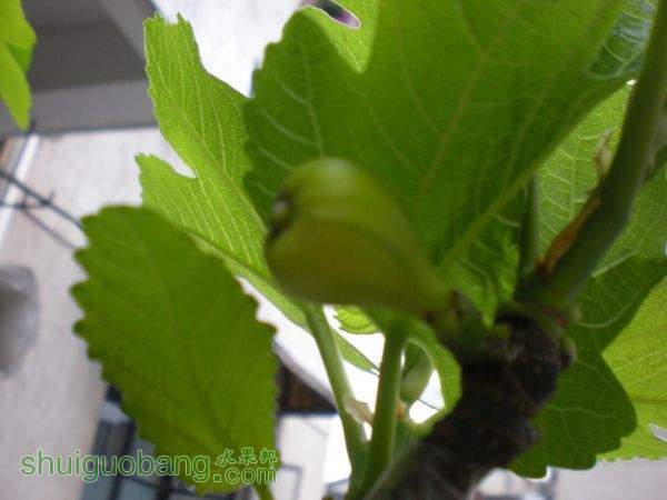 DSCN2901.JPG