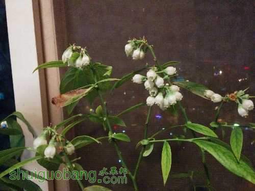 IMG_20150405_223017.jpg