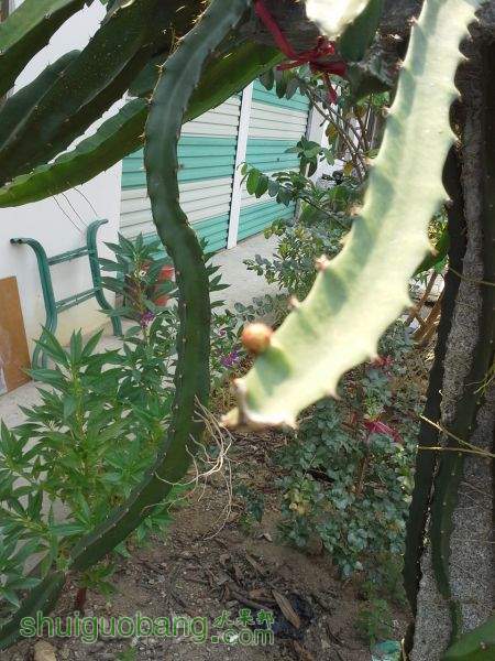 20150405_142534.jpg