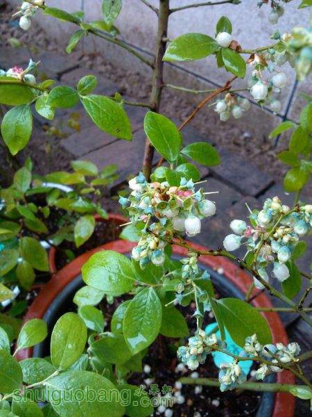 IMG_20150406_111502.jpg