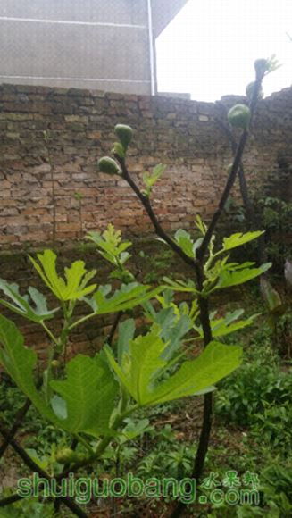20150406_084013.jpg