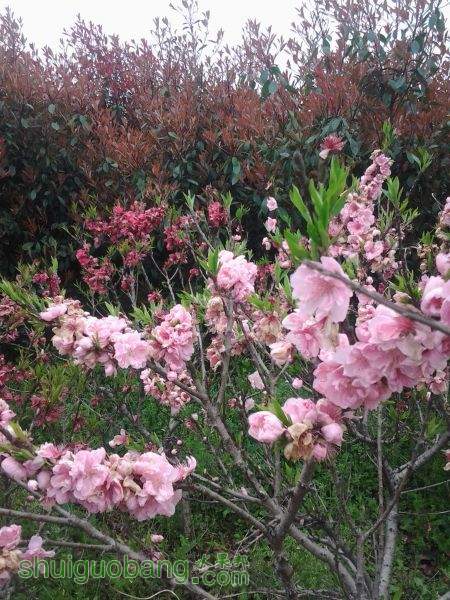 20150406_143903.jpg