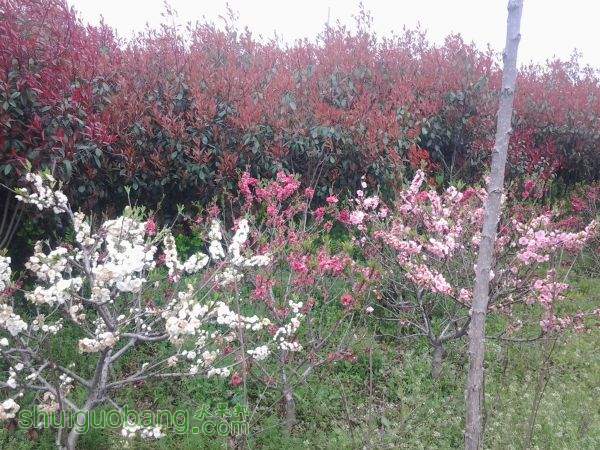 20150406_143946.jpg