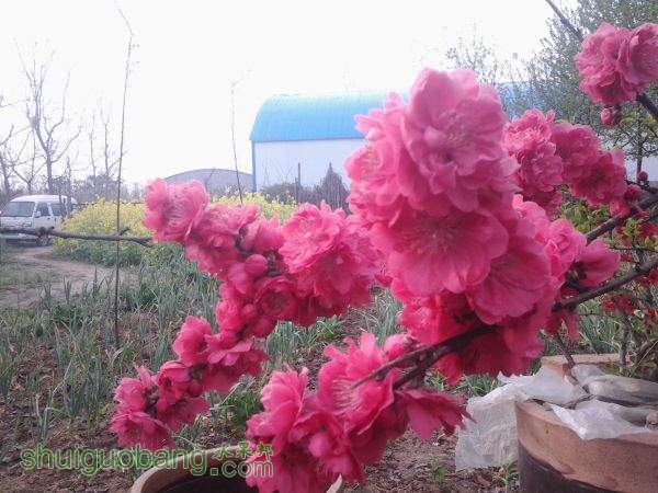 20150329_073439.jpg