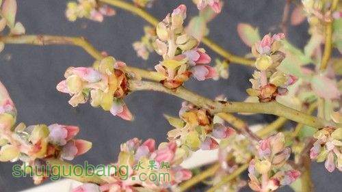 20150406_093759_����.jpg