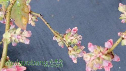 20150406_093847_����.jpg