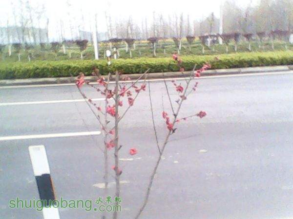 20150407 (5).jpg
