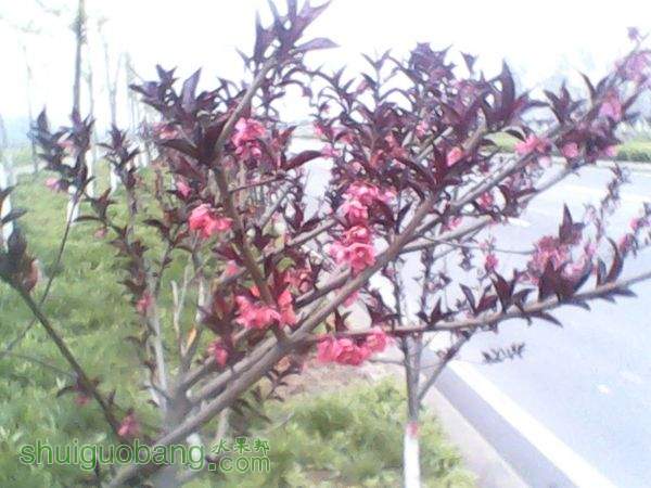 20150407 (2).jpg