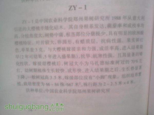 IMG0408162201.jpg