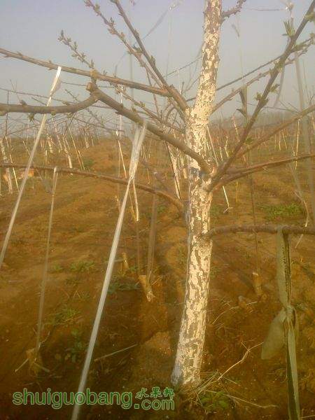 IMG0408072000.jpg