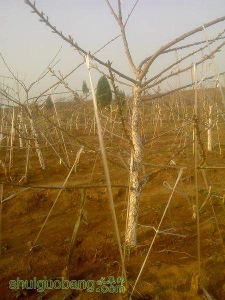 IMG0408072001.jpg