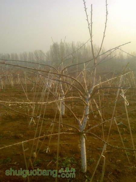 IMG0408072200.jpg