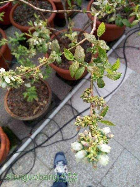 QQͼƬ20150409153701.jpg