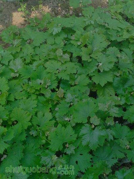 IMG20150409105140.jpg