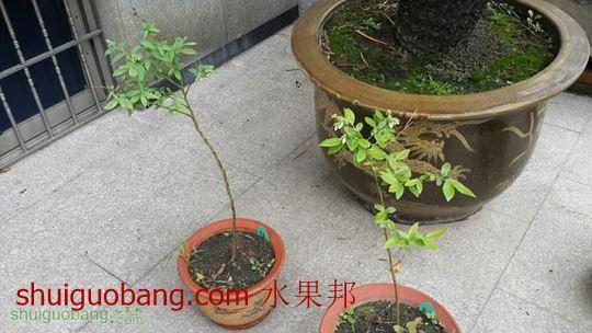 131931uq7d733ss3bhsbsw.jpg