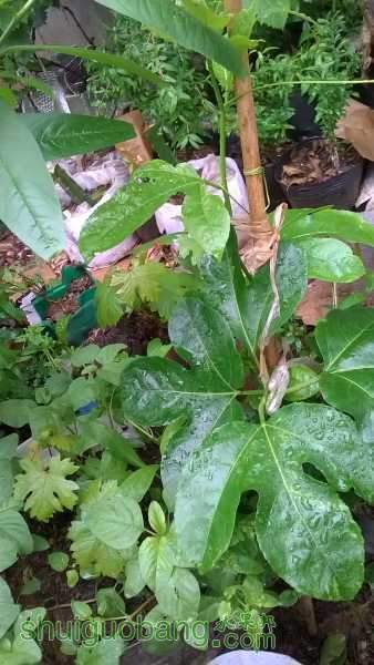 WP_20150410_07_17_46_Pro.jpg
