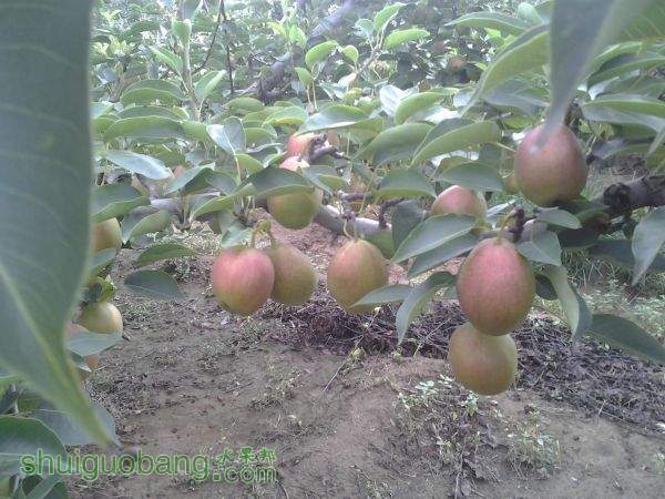 2014-07-24 10.55.33.jpg