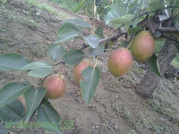 2014-07-24 10.56.15.jpg