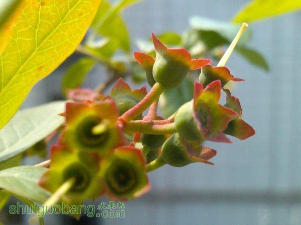 IMG_20150412_101439.jpg
